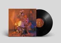 The Street Sliders「夢遊病」アナログ盤イメージ