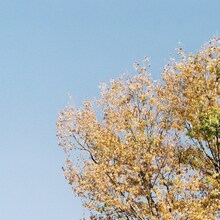 阿佐ヶ谷ロマンティクス「想うということ」ジャケット