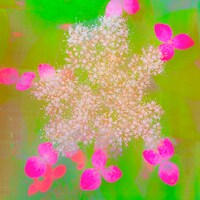 山下雄太「たそかれ feat. 里咲りさ」配信ジャケット