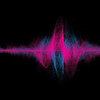 SUPER BEAVER「音楽」ファンクラブ限定盤ジャケット