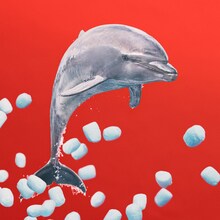 あいみょん「リズム64」配信ジャケット