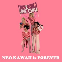 CHAI、バンド活動終了