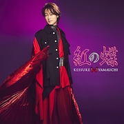 山内惠介「紅の蝶」唄盤ジャケット