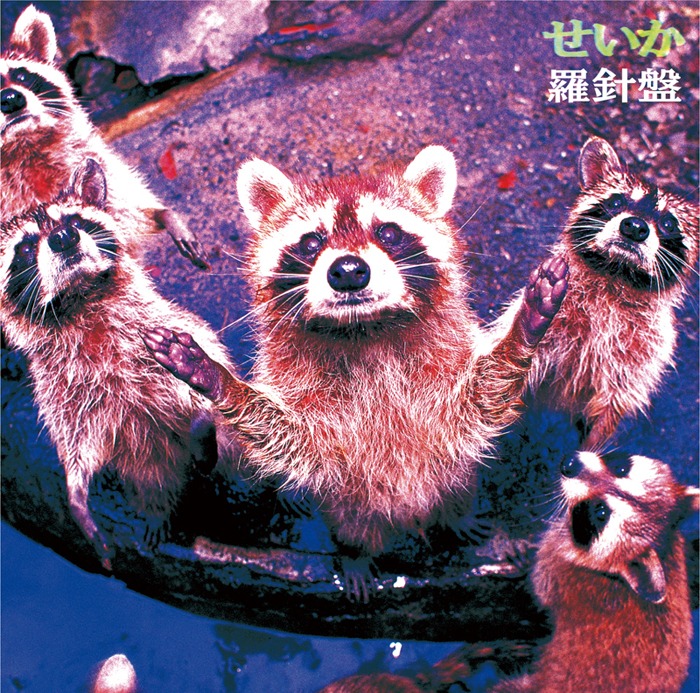 羅針盤「せいか」アナログジャケット