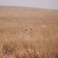 iri「hug」配信ジャケット