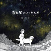藍坊主「流れ星になったんだ」ジャケット
