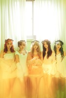 LE SSERAFIM (P)&(C) SOURCE MUSIC