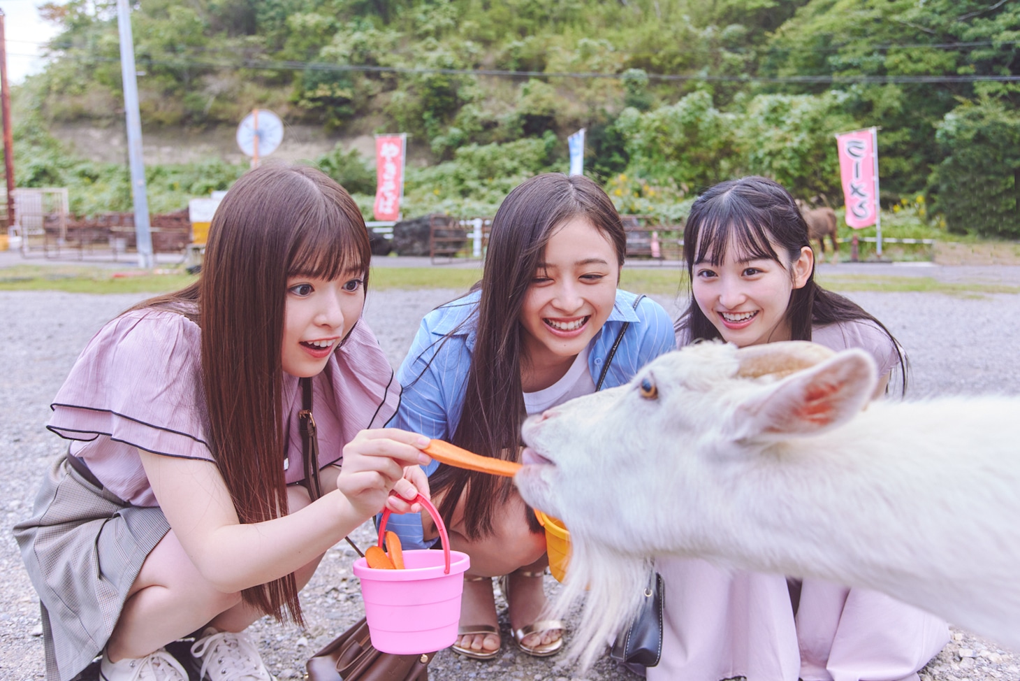 「あの頃、乃木坂にいた」より。（Photo by Sakai De Jun）
