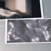 Laura day romance「Young life / brighter brighter」配信ジャケット