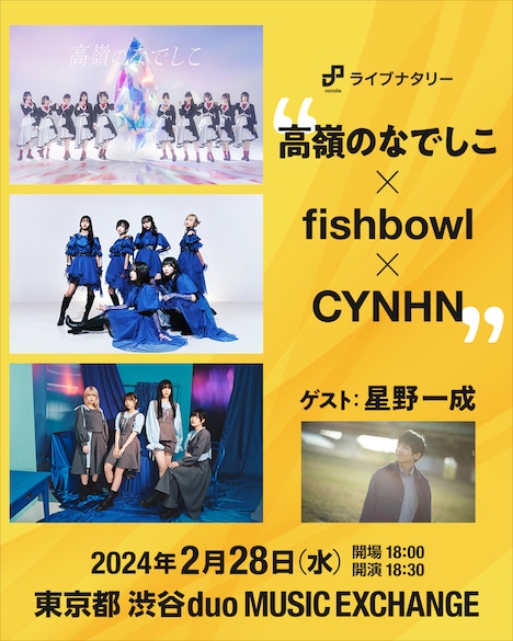 「ライブナタリー “高嶺のなでしこ × fishbowl × CYNHN”」告知ビジュアル