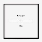 SPiN「Growin’」ジャケット