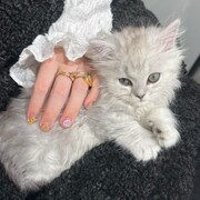 なでられるキルムちゃん。