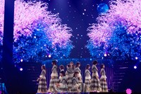 櫻坂46「小林由依卒業コンサート」の様子。（撮影：上山陽介）
