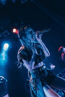 パン・ルナリーフィ