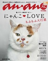猫を愛する小田さくら「にゃんこ♡LOVE もふもふ大行進」に登場