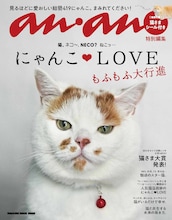 猫を愛する小田さくら「にゃんこ♡LOVE もふもふ大行進」に登場