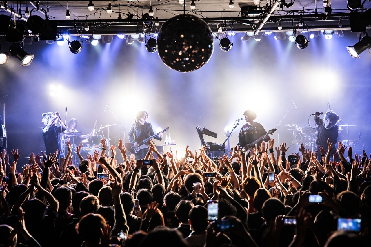 マラカス ハーレムカンポ Harlem Campos 【公式通販】