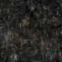 Aimer「800」配信ジャケット