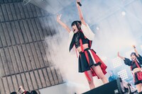 すずめ（撮影：真島洸）