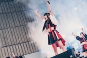 すずめ(撮影:真島洸)