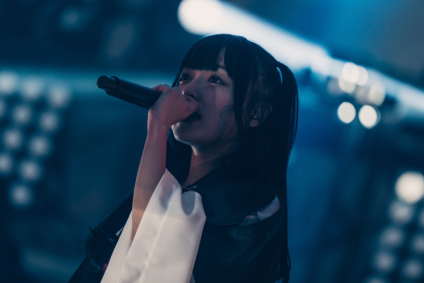 すずめ（撮影：真島洸）