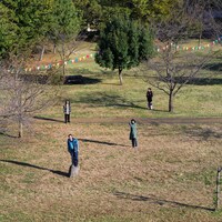 カブトムシ「飛来者」ジャケット