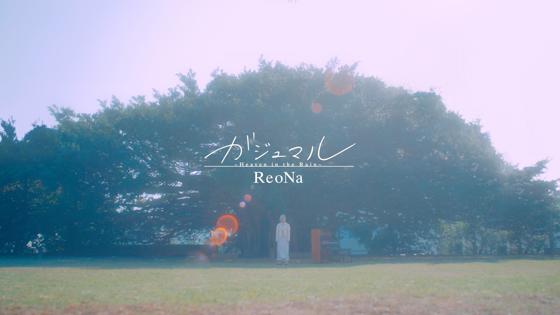 ReoNa、巨大なガジュマルの木の下で歌う（動画あり） - 音楽ナタリー