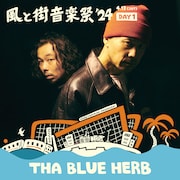 THA BLUE HERB