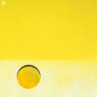 賽「YELLOW」ジャケット