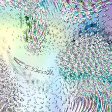 Tempalay「((ika))」初回限定盤ジャケット