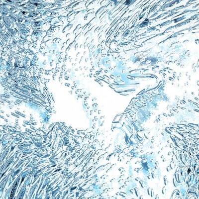 Tempalay「((ika))」通常盤ジャケット