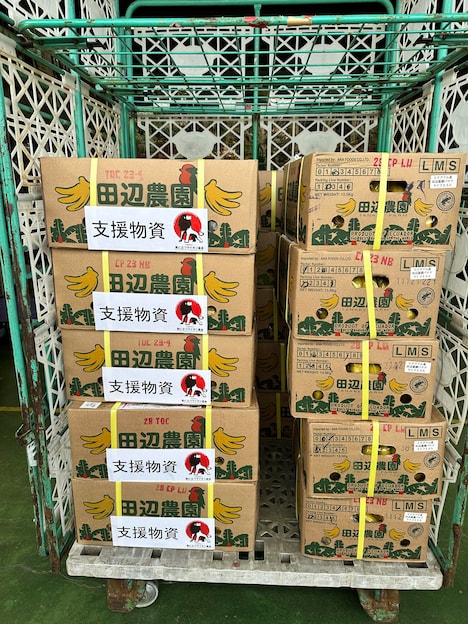 支援物資として届けられたバナナ。