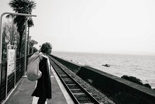 高野哲（Vo, G / ZIGZO、DISCO VOLANTE）