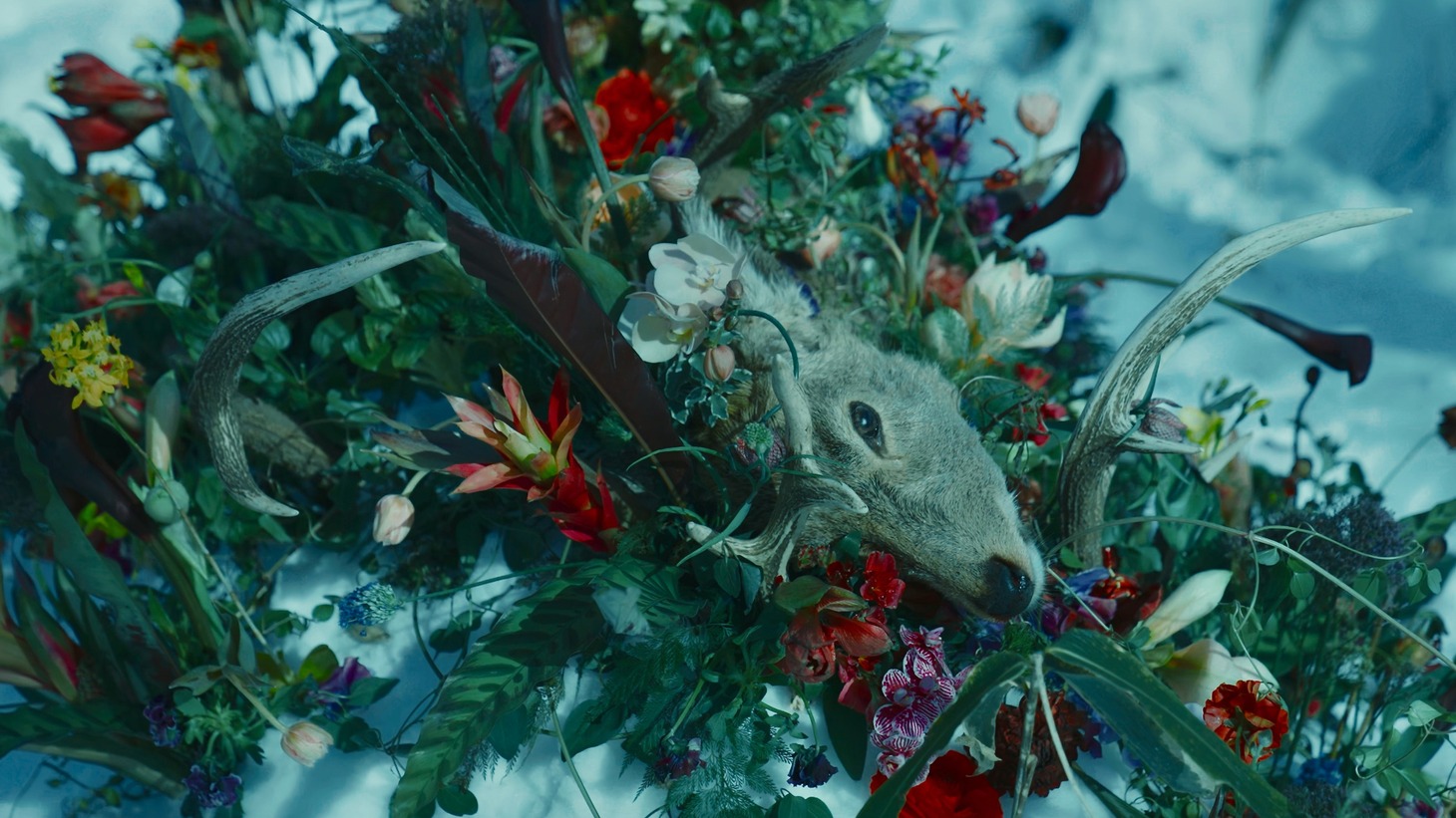 world's end girlfriend