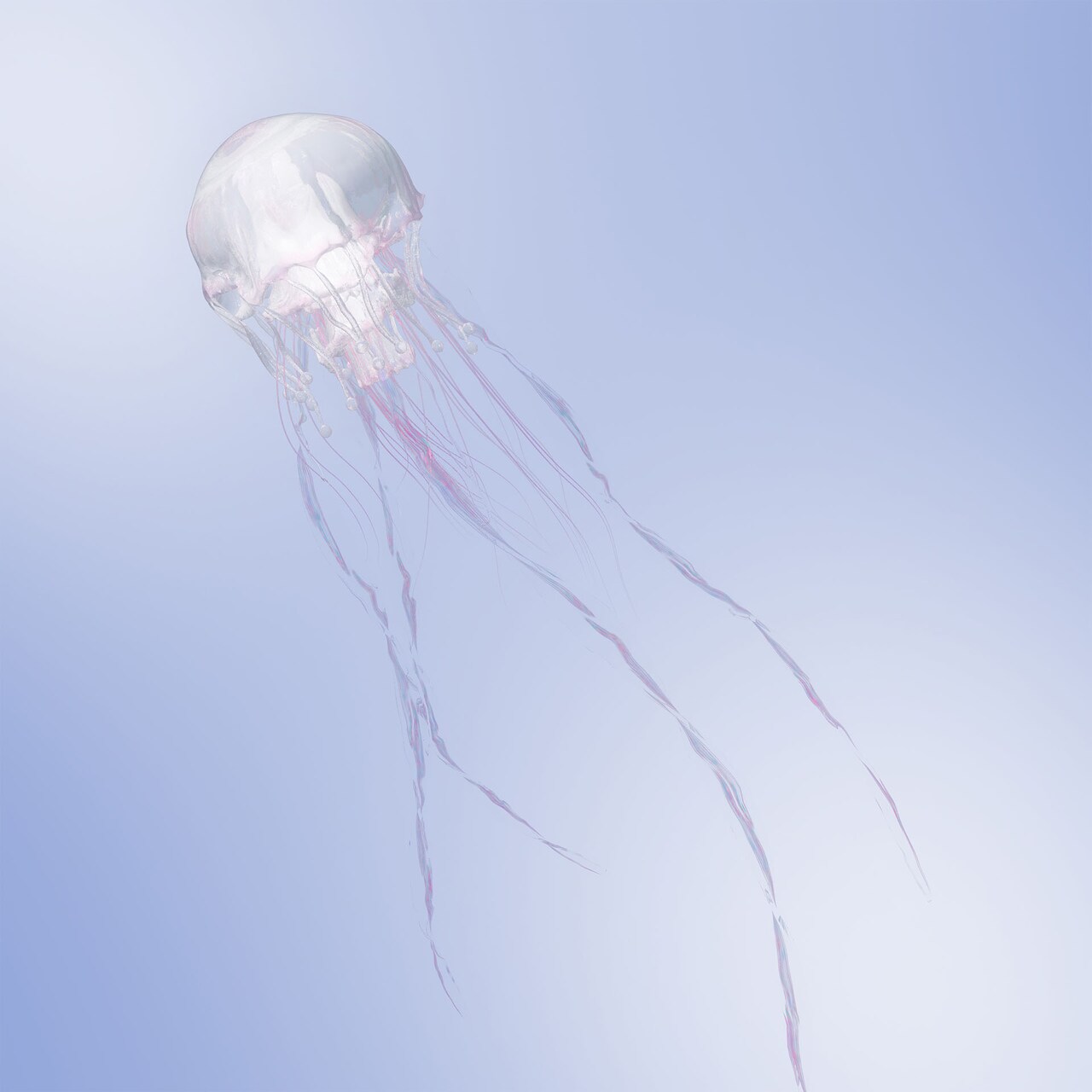 SCANDALニューアルバム「LUMINOUS」初回限定盤特典の詳細発表、YouTube