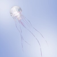 SCANDAL「LUMINOUS」初回限定盤Aジャケット