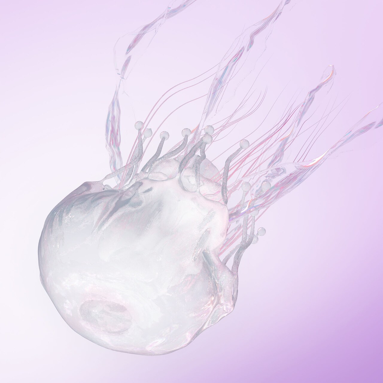 SCANDALニューアルバム「LUMINOUS」初回限定盤特典の詳細発表、YouTube