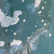 和田彩花とmekakusheがコラボ、きっかけはTwitter