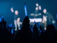 RHYMESTERの日本武道館公演の様子。