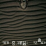 CRAZE、キング＆テイチク時代の作品が一挙サブスク解禁 - 音楽ナタリー