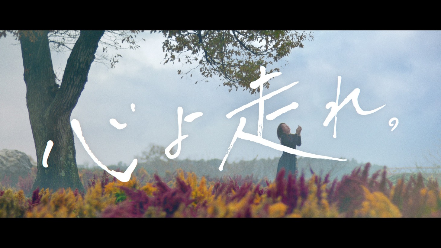 マツダ「心よ走れ。感動」編より。