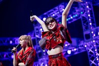 MC中にも突然現れたエビーダダ。