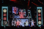 TEAM SHACHI「ライブハウスツアー2023-2024 WINTER～ライブスペクタクル！命短し、沸かせよ乙女～」東京公演の様子。（撮影：ヨシモリユウナ）