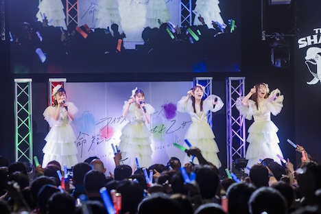 TEAM SHACHI（撮影：ヨシモリユウナ）