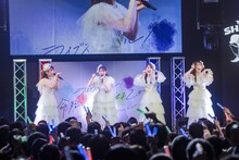TEAM SHACHI「ライブハウスツアー2023-2024 WINTER～ライブスペクタクル！命短し、沸かせよ乙女～」東京公演の様子。（撮影：ヨシモリユウナ）
