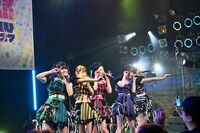 「Happy Lucky Kawaii」の様子。