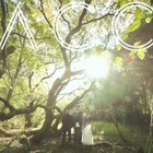 Awesome City Club新ミニアルバムはすべてタイアップ曲