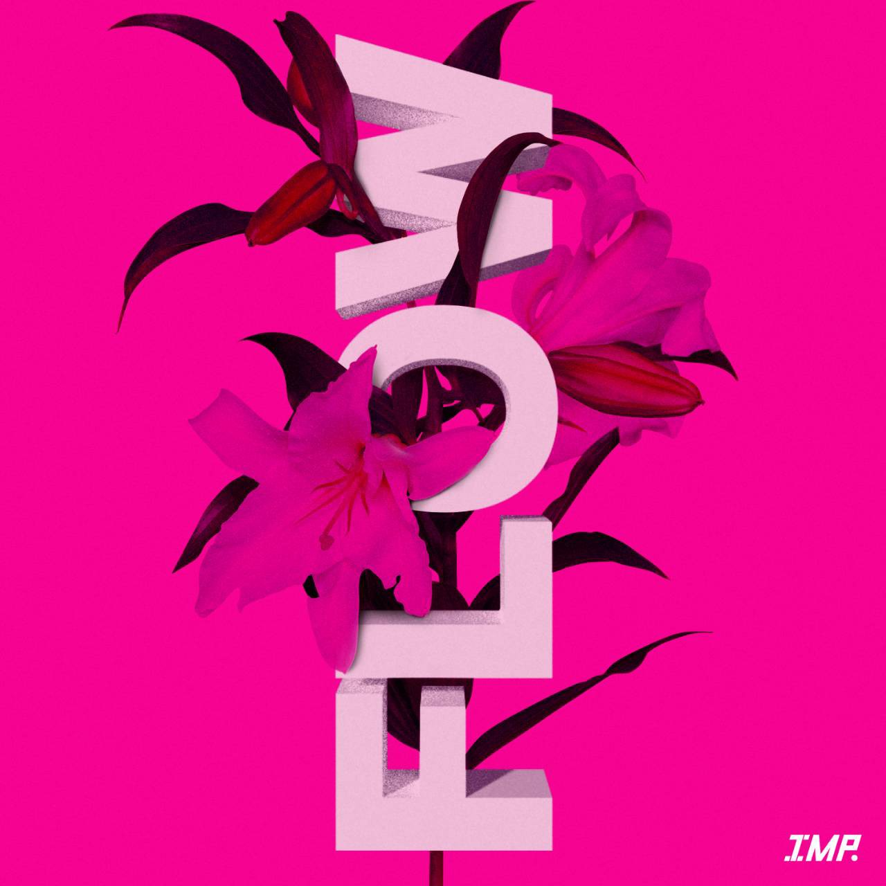 IMP.「FLOW」配信ジャケット