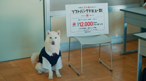 「スマホデビュー1年生×GTOリバイバル『スマホデビュー授業』篇」より。