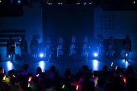 高嶺のなでしこ（Photo by MAYUMI）